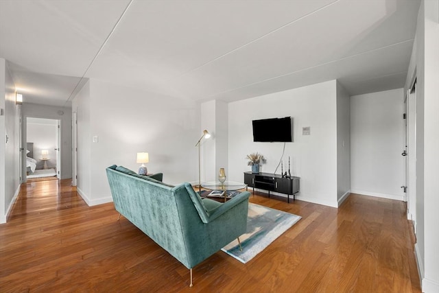 living room featuring wood-type flooring