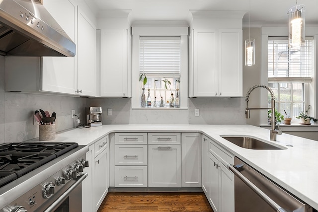 kitchen with exhaust hood, appliances with stainless steel finishes, plenty of natural light, and white cabinets