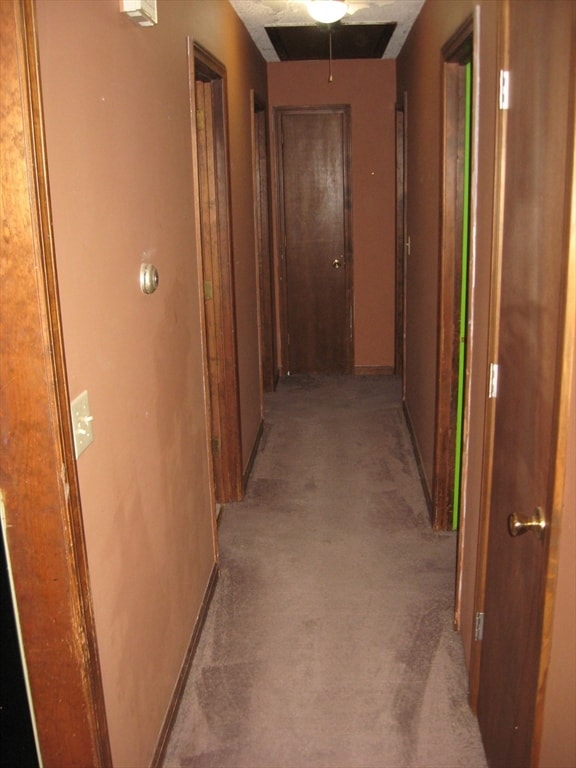 corridor with light carpet