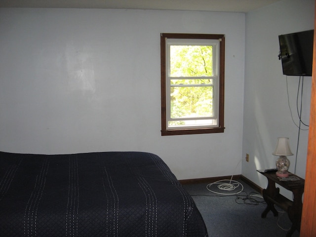 bedroom featuring carpet floors