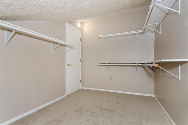 spacious closet featuring carpet floors