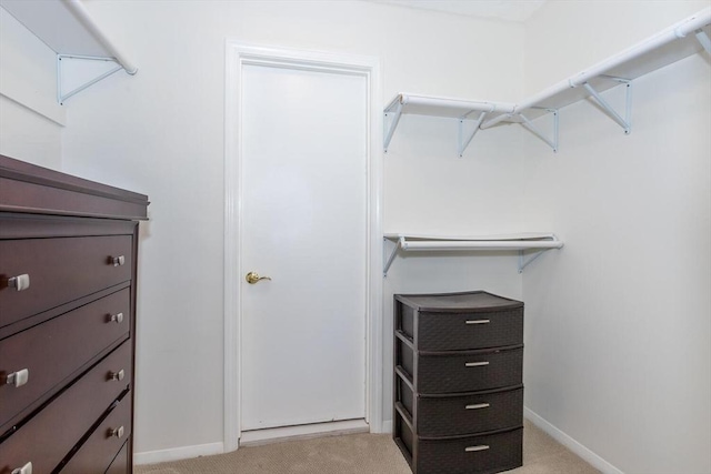 walk in closet featuring light carpet