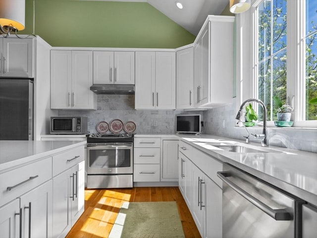 8 Sandstone Dr Unit 8, Medway, MA 02053 - kitchen featuring appliances with stainless steel finishes, under cabinet range hood, a sink, light countertops, and vaulted ceiling