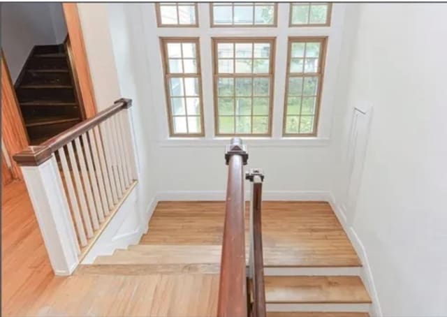 75 William St, Worcester, MA 01609 - stairs with baseboards and wood finished floors