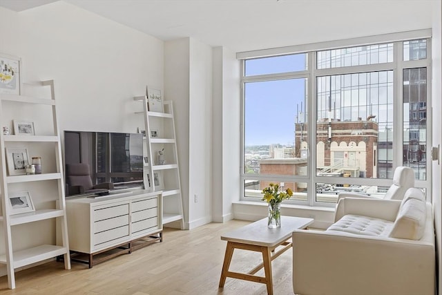 living area featuring wood finished floors and baseboards