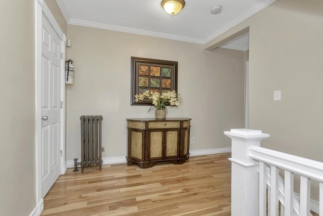 51 Stratford Ter, Springfield, MA 01108 - hall featuring radiator, light wood finished floors, ornamental molding, and baseboards