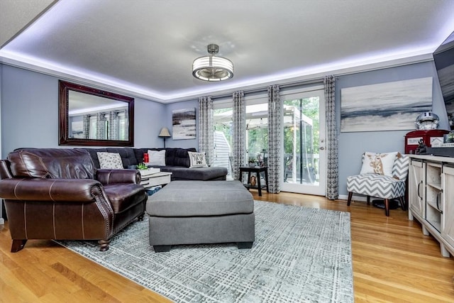 1102 Foxwood Cir Unit 1102, Peabody, MA 01960 - living area with light wood-type flooring and baseboards