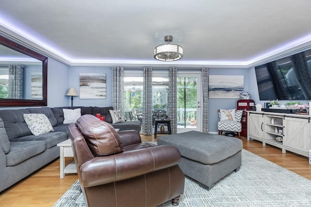 1102 Foxwood Cir Unit 1102, Peabody, MA 01960 - living area with light wood-style floors