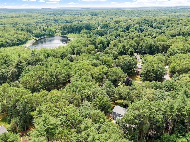 6 Candida Ln, Acton, MA 01720 - drone / aerial view of a forest and a large body of water