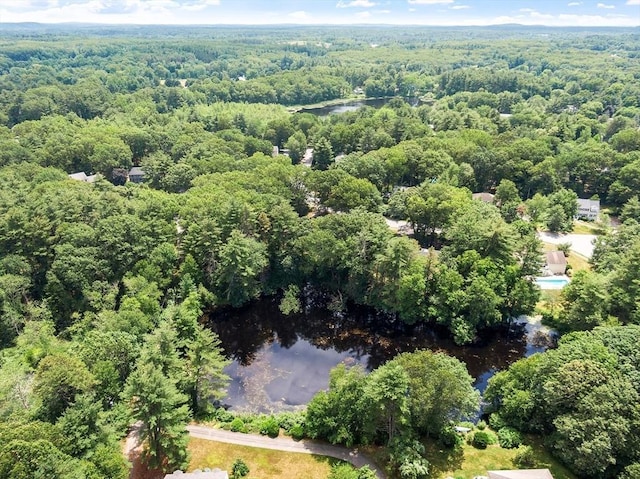 6 Candida Ln, Acton, MA 01720 - aerial overview of property's location with a heavily wooded area and a large body of water