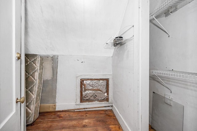 bathroom with wood-type flooring