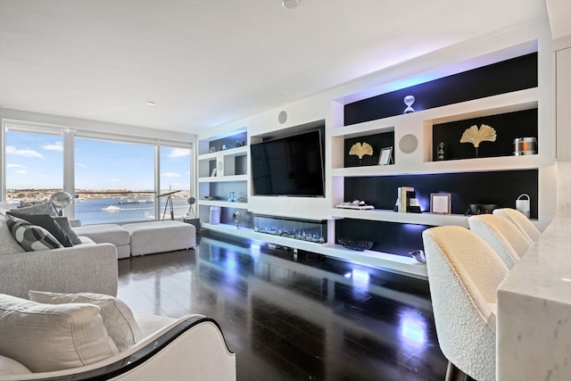 living room with dark hardwood / wood-style flooring and built in features