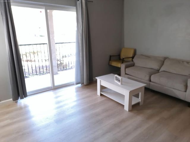 living room with light wood-type flooring