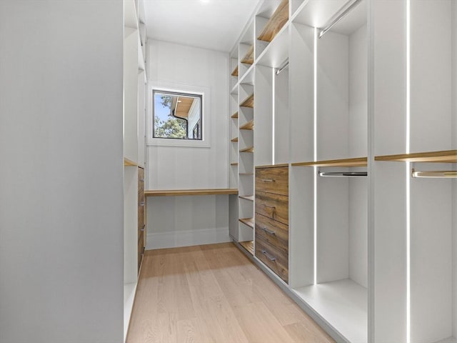 walk in closet featuring light wood-type flooring