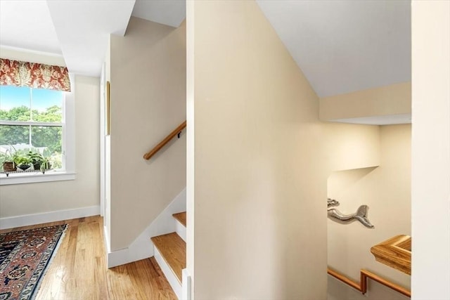6 Macdonald Ter Unit E, Scituate, MA 02066 - stairway with wood finished floors and baseboards