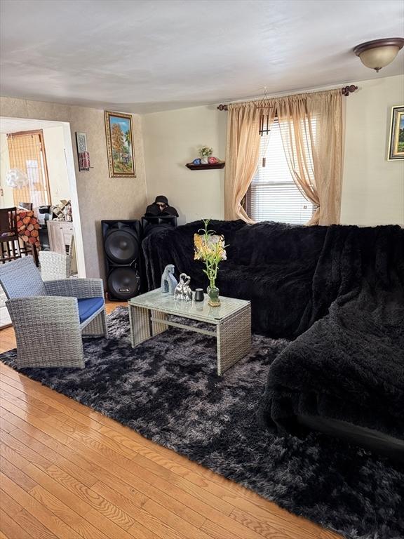 living room featuring hardwood / wood-style floors