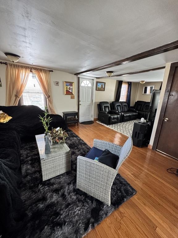 living room featuring wood finished floors