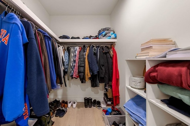 walk in closet with wood-type flooring