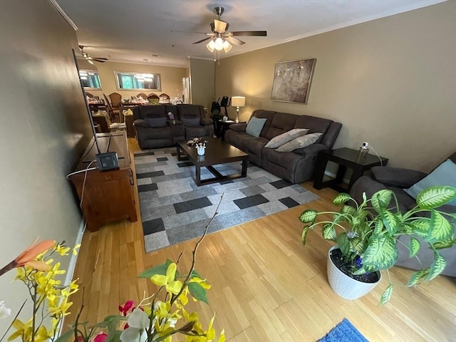 13 Dallas Dr Unit 308, Dracut, MA 01826 - living area featuring wood finished floors, ceiling fan, and ornamental molding