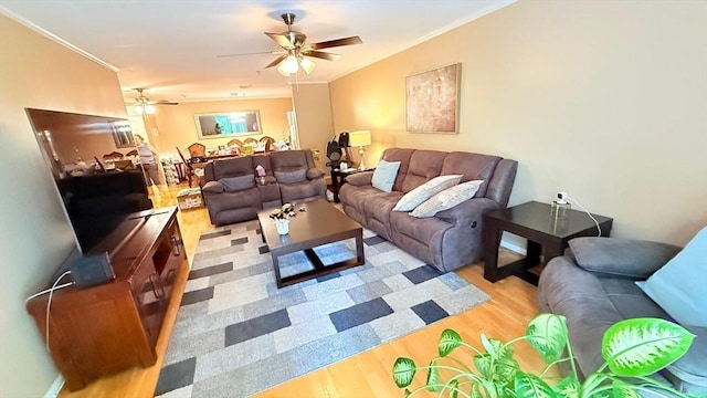 13 Dallas Dr Unit 308, Dracut, MA 01826 - living room with ceiling fan, ornamental molding, and light wood finished floors