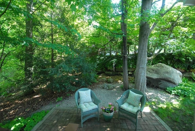 4 Half Moon Hl Unit 4, Acton, MA 01720 - view of patio / terrace