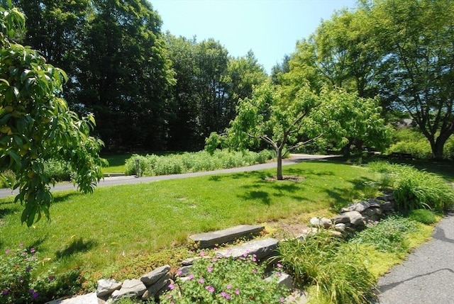 4 Half Moon Hl Unit 4, Acton, MA 01720 - view of home's community featuring a yard