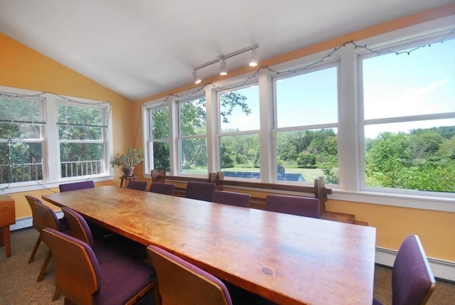 4 Half Moon Hl Unit 4, Acton, MA 01720 - dining room featuring plenty of natural light, a baseboard heating unit, vaulted ceiling, and baseboard heating