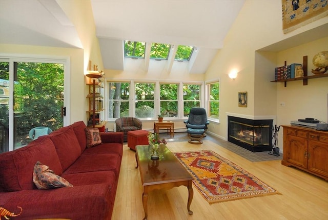 4 Half Moon Hl Unit 4, Acton, MA 01720 - living room with light wood-style flooring, a multi sided fireplace, plenty of natural light, high vaulted ceiling, and a baseboard heating unit