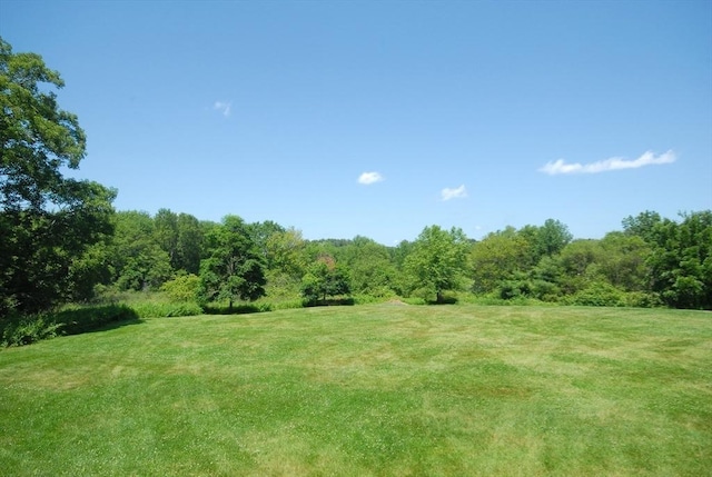 4 Half Moon Hl Unit 4, Acton, MA 01720 - view of grassy yard with a forest view