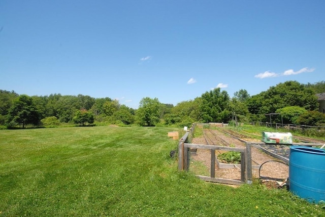 4 Half Moon Hl Unit 4, Acton, MA 01720 - view of grassy yard featuring a vegetable garden