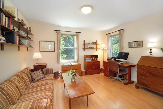 4 Half Moon Hl Unit 4, Acton, MA 01720 - office featuring light wood-style flooring
