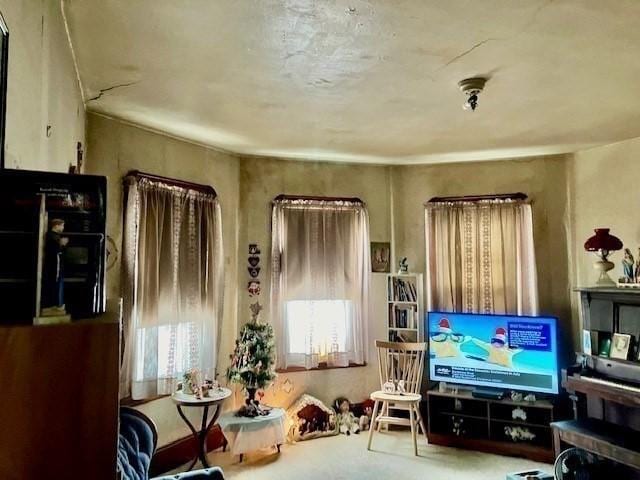 view of living area