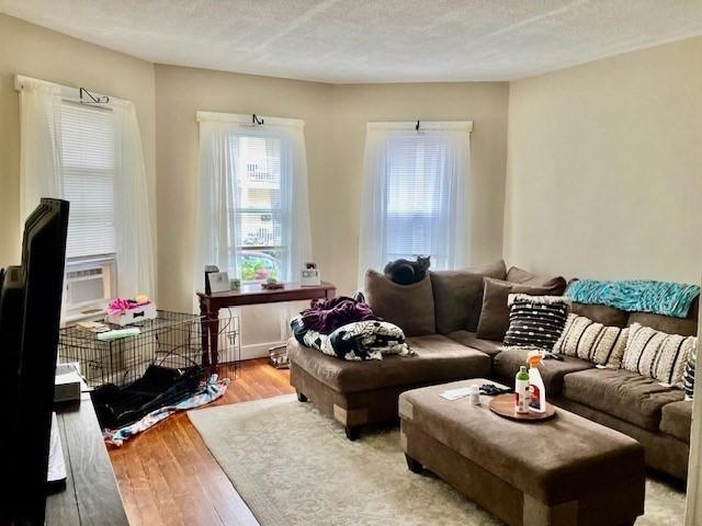 living room with hardwood / wood-style flooring and a textured ceiling