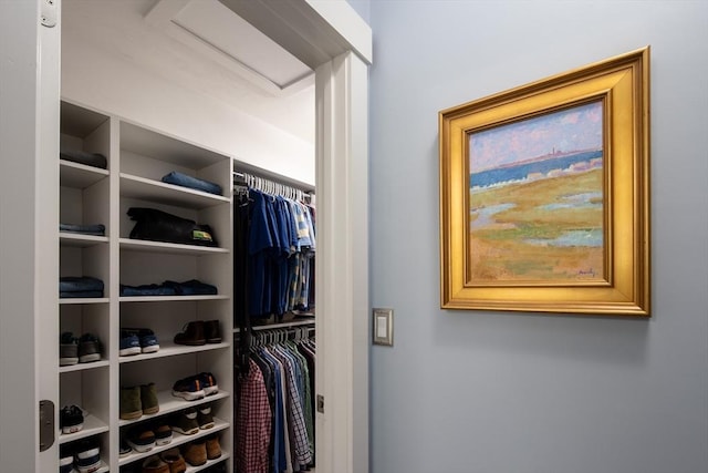 view of walk in closet