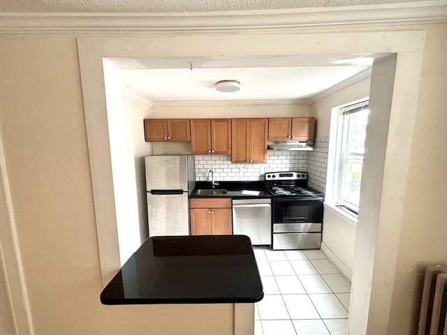 8 Walnut St Unit 8, Everett, MA 02149 - kitchen featuring appliances with stainless steel finishes, under cabinet range hood, crown molding, radiator, and dark countertops