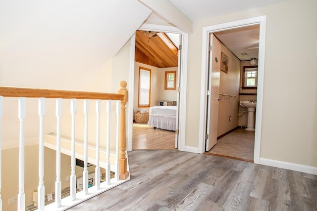 22 Everton Ave, Worcester, MA 01604 - hallway with wood finished floors, vaulted ceiling, a sink, and baseboards