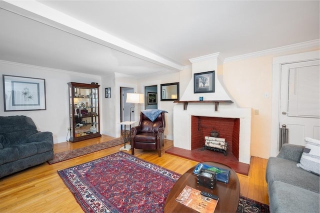 203 Pond St, Weymouth, MA 02190 - living area featuring wood finished floors, ornamental molding, a fireplace, and radiator