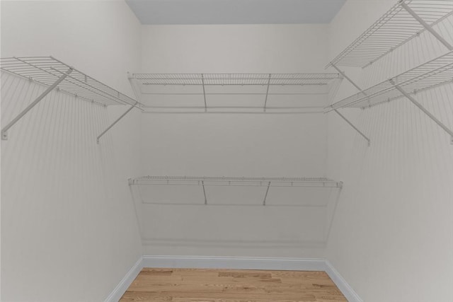 walk in closet with hardwood / wood-style floors