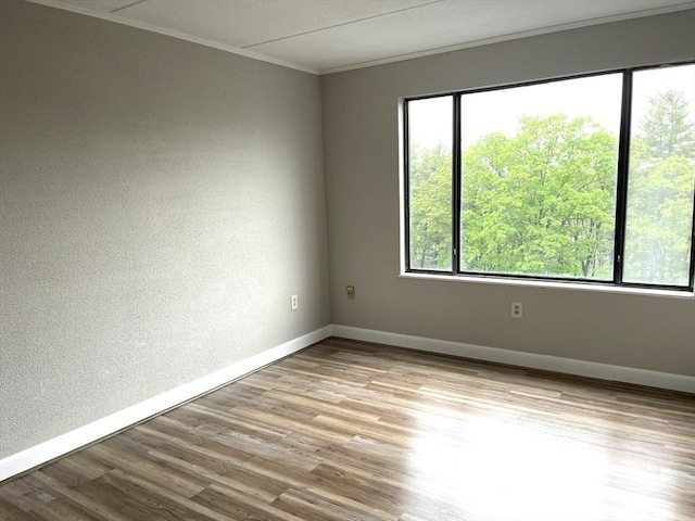 1550 Worcester Rd Unit 524, Framingham, MA 01702 - empty room featuring baseboards, crown molding, wood finished floors, and a textured wall