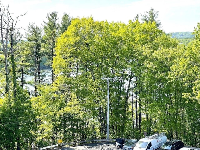 1550 Worcester Rd Unit 524, Framingham, MA 01702 - view of wooded area