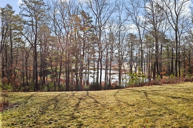 21 Bearberry Path Unit 0, Plymouth, MA 02360 - view of green lawn