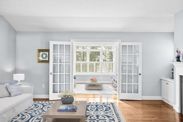 21 Bearberry Path Unit 0, Plymouth, MA 02360 - living room featuring wood finished floors, baseboards, and french doors