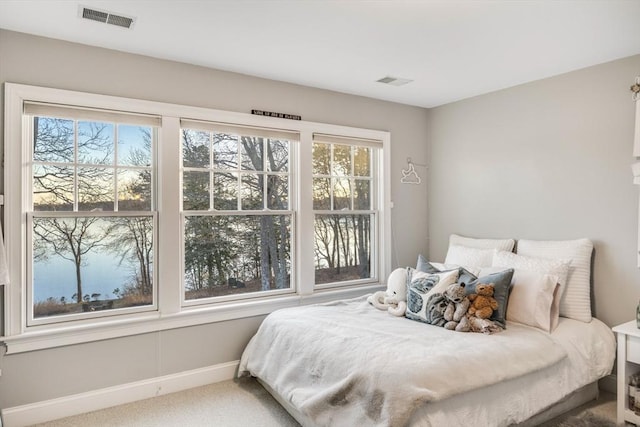 carpeted bedroom with multiple windows