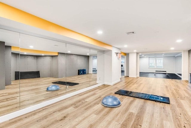 workout room featuring wood-type flooring