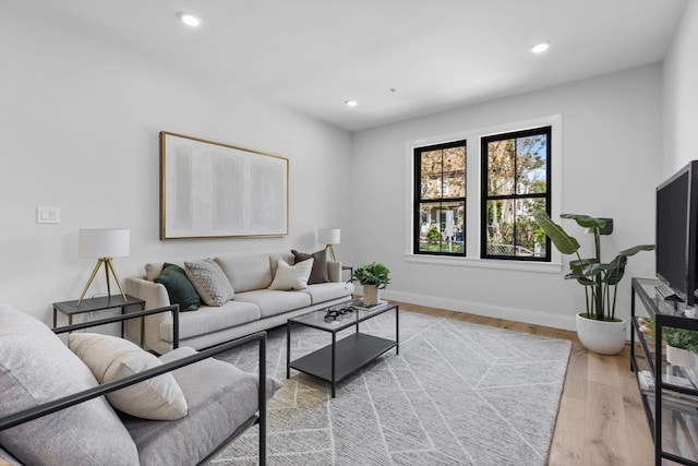 living room featuring wood-type flooring