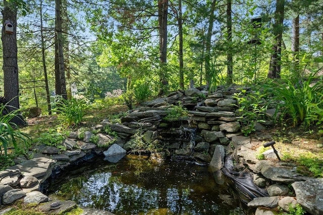 1 Liberty Ln, North Reading, MA 01864 - view of nature