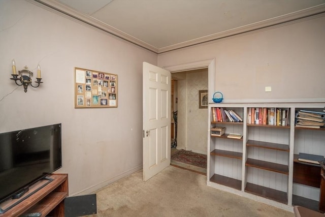 interior space featuring baseboards, carpet, and crown molding