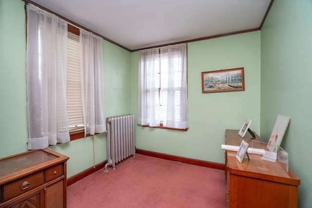 interior space with light colored carpet, radiator, baseboards, and ornamental molding