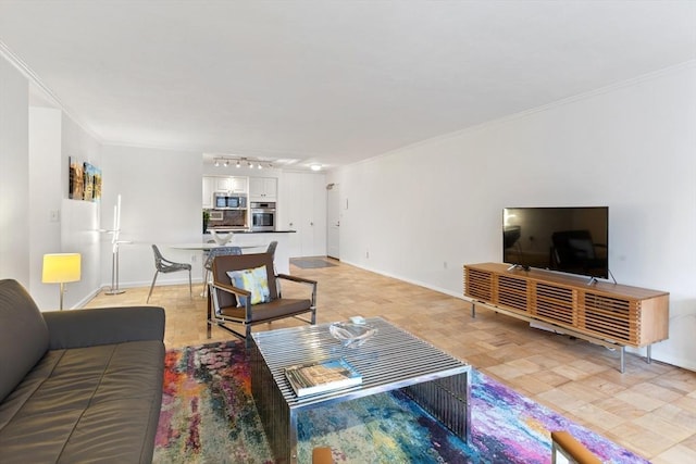 living area with ornamental molding, track lighting, and baseboards