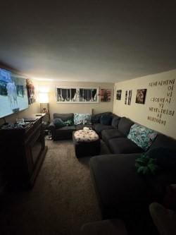 living area with carpet